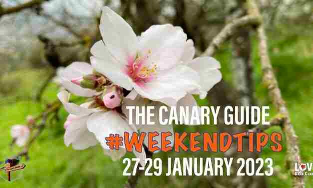 The Canary Guide Weekend Tips 27-29 January 2023