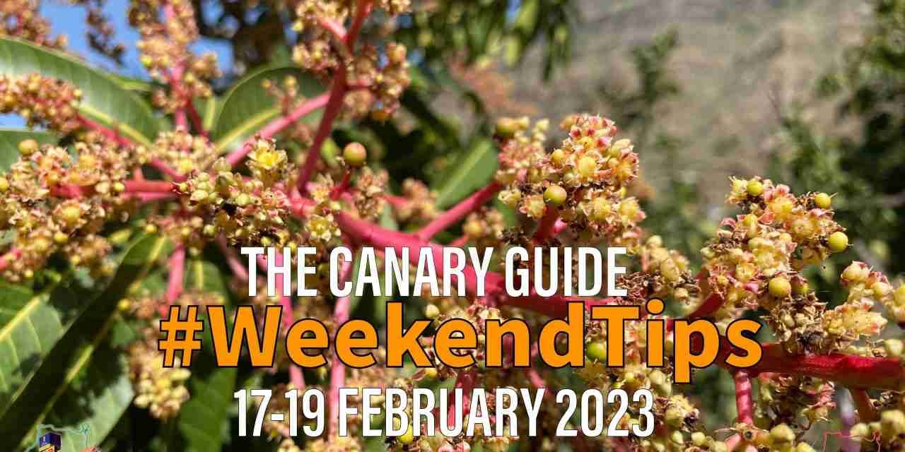 The Canary Guide Weekend Tips 17-19 February 2023