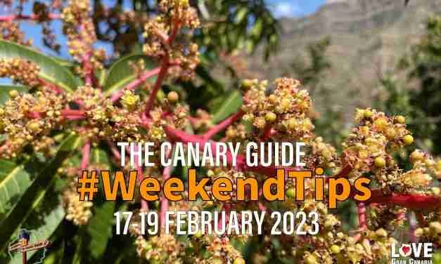 The Canary Guide Weekend Tips 17-19 February 2023
